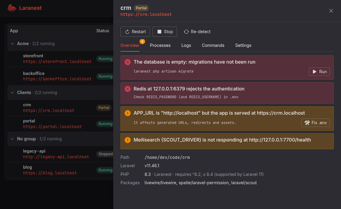 An app's overview listing problems: pending migrations, Redis rejecting the authentication, an APP_URL mismatch and Meilisearch not responding